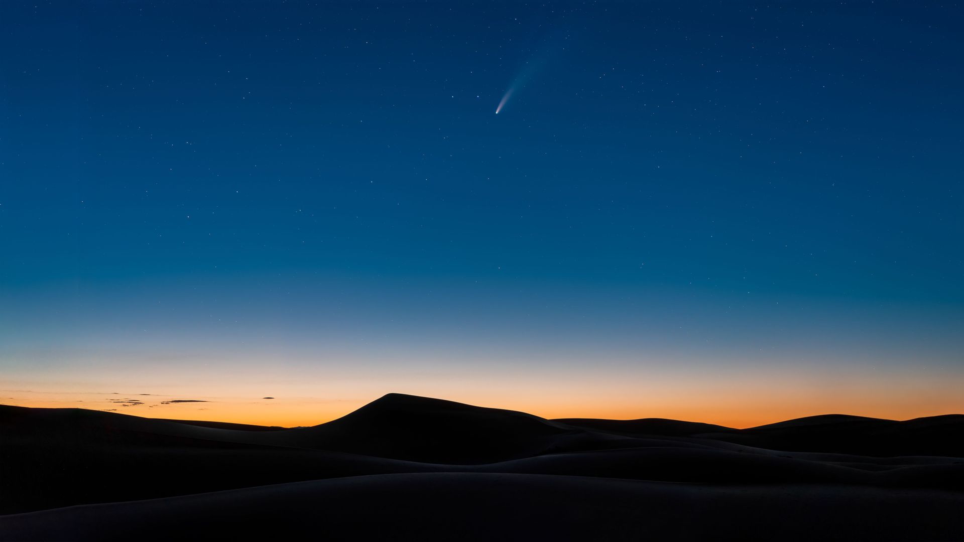 浅谈Vue3 的 ref 和 reactive 到底用哪个？